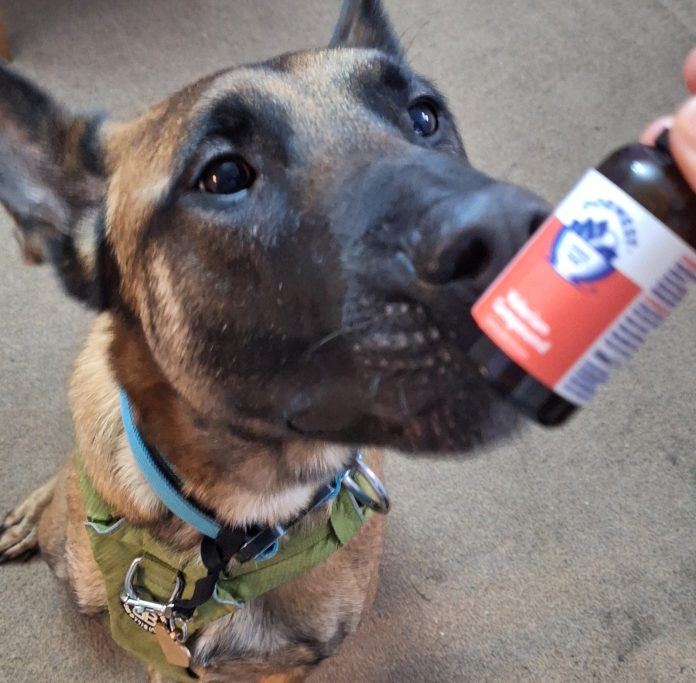 Dog Sniffing Valerian Scent Bottle